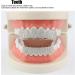 Cold-Plated Copper Teeth Set for Halloween | Bling Hip Hop Mouth Grills in Silver & Gold Finish - Perfect for Men & Women - Buy Online on GoSupps.com