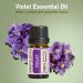 GREENSLEEVES Verbena and Violet Essential Oil 2x10ml Pure Plant-Based Fragrance Oil for Aromatherapy Essential Oils for Diffuser Air Freshener Massage Bath Bomb Scented Candle Soap Making - Buy Online on GoSupps.com