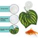 SLSON 4 Pack Fish Veggie Seaweed Suction Cup Clip Feeding Tool for Aquarium - Buy Online on GoSupps.com