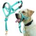 Barkeless dog handlebars no pulling reflective training device for medium -sized and large dogs on walks including training instructions (M turquoise) medium turquoise/excursion single -colored (GetaWay Solids)