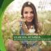 Fairvital Green Tea Capsules - 1500mg High-Dose Extract Caffeine-Free 98% Polyphenols & 50% EGCG Vegan 90 Capsules for Optimal Health - Buy Online on GoSupps.com
