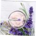 IWOWHERO 6pcs Eye Shadow Brush Eye Brush Makeupset Transparent Plastic Handle Make up Applicator - Buy Online on GoSupps.com