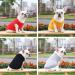 Shop TVMall Dog T-Shirts - Summer Cotton Vests for Medium & Large Dogs | Breathable & Stylish 4-Pack - Buy Online on GoSupps.com
