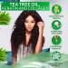 Tea Tree Oil Shampoo - Sulfate & Paraben Free Collagen & Keratin Enriched - Anti-Dandruff Ideal for Oily Hair Salon Quality Treatment for Men & Women - Buy Online on GoSupps.com