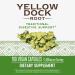 Nature's Way Yellow Dock Root 1000 mg - 100 Vegan Capsules for Digestive Health - Buy Online on GoSupps.com