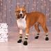Kooltail Non-Slip Dog Socks & Waterproof Outdoor Shoes - Pfot Protection with Traction Control for Hardwood Floors - Khaki Medium - Buy Online on GoSupps.com
