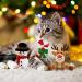 Festive Christmas Catnip Toys for Cats - Bite Resistant & Catnip Filled Teething Toy - Buy Online on GoSupps.com