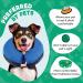 BENCMATE Inflatable Recovery Collar for Dogs & Cats - Large Blue 12-18 - Soft E-Collar for Enhanced Comfort & Visibility - Buy Online on GoSupps.com