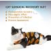 Buy Hipet Cat Surgical Suit for Belly Wounds & Skin Diseases | Anti-Licking Recovery Vest (L Black) - Replace E-Collar & Cone - Buy Online on GoSupps.com