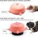 oADANNUo Kitten Puppy Nursing Bottles with Feeding Station - 4 Nipples for Multiple Kittens/Puppies - Buy Online on GoSupps.com