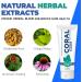 Coral White - Coral White Mint Toothpaste Natural Fluoride SLS Free Coral Calcium Remineralizing Toothpaste 4 Ounce (2 Pack) Mint 4 Ounce (Pack of 2) - Buy Online on GoSupps.com