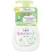 Kao Biore u foam hand soap citrus scent of pump 250ml