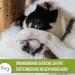 Furry Dental Spray for Dogs & Cats - 100ml | Fresh Breath Tartar Prevention & Mole Smell Control | Vegan & Aloe Vera Formula - Made in Germany - Buy Online on GoSupps.com