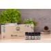 Revival Essential Oil Set - Premium Aromatherapy for Wellness | Free International Shipping - Buy Online on GoSupps.com