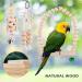 9-Piece Bird Toys Set | Parrot & Budgie Accessories | Cage Rocking Toys & Wooden Platforms for Finches & Lovebirds - Buy Online on GoSupps.com