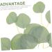 50pcs Artificial Willow Leaves Faux Eucalyptus Green Leaves Simulated Leaves Decor Greenery Decor Faux Stems Green Home Decor Plastic Plants Stems Garland Leaf Wedding Glossy Cloth Green 2 14X13.5CM - Buy Online on GoSupps.com
