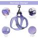 Bella & Pal Small Dog Harness with Leash - Air Mesh Reflective Breathable for Puppies & Cats - Lavender (S S 35-40cm) - Buy Online on GoSupps.com