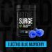 Jacked Factory Nitrosurge Max High Performance Pre Workout Powder - Pre Workout w/Nootropic Ingredients for Intense Focus Pumps & Energy (Electric Blue Raspberry 40sv & Cherry Bomb 40sv) - Buy Online on GoSupps.com