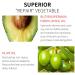 Allbesta Lip Plumper Serum Oil | Hydrating Anti-Aging Primer Foundation - Shop Internationally - Buy Online on GoSupps.com