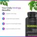 Livingood Daily Moringa Capsules Moringa Supplement for Energy Sleep Satiety Hair Skin Nails & Wellness Plant Based Vegetarian Gluten Free Non GMO Vegan Daily Greens Superfood 60 Capsules - Buy Online on GoSupps.com