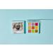 Friends Joey Eyeshadow Palette - Vibrant Shades for Every Look | International Shipping Available - Buy Online on GoSupps.com