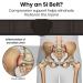 Sacroiliac Belt for Women and Men - Hip Support Brace for SI Joint, Sciatica, Pelvis - Adjustable Wrap for Lower Back Pain Relief - Vive Si Belt - Fits Hip Size Up to 45 - Buy Online on GoSupps.com