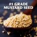 Gulden Squeeze Brown Mustard - 12 oz | Spicy Brown Mustard - Buy Online on GoSupps.com