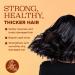 Luseta Shampoo & Conditioner Set - Turmeric & Collagen Volumizing for Thin/Oily Hair Sulfate & Paraben Free 2x33.8Oz - International Shipping Available - Buy Online on GoSupps.com