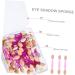FOMIYES 500 Pcs 5 Boxes Double Ended Eyeshadow Brush Eye Shadow Applicator Eye Shadow Sponge Non Latex - Buy Online on GoSupps.com