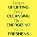 Plant Therapy Lemon Essential Oil 10 mL - 100% Pure & Natural Aromatherapy - Energizing Undiluted Lemon Oil for Skin & Cleansing - Buy Online on GoSupps.com