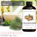 Brooklyn Botany Cinnamon & Cedarwood Essential Oils 4 Fl Oz (Pack of 2) 100% Pure & Natural Grounding & Warming Aromatherapy Blend - Buy Online on GoSupps.com