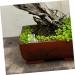 Mipcase Pet Water Feeder Ant Feeding Bowl Ants Farm Water Feeders Insect Feeder Ants Watering Cup Plastic - Buy Online on GoSupps.com