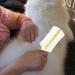Fovolat Pet Comb for Dogs - Multipurpose Kitten Flea Comb Dog Grooming Comb | Hangable Cat Grooming Comb Pet Grooming Comb for Home Pet Shops Green - Buy Online on GoSupps.com