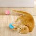 Buy 2PCs Power Ball 2.0 Cat Toy - Intelligent Rotating & Interactive Balls in Blue & Pink | Aiveys Gertar - Buy Online on GoSupps.com