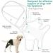 Dog Knee Brace for Torn ACL Hind Leg Adjustable Dog Acl Knee Brace Support for Large and Small Dogs with ACL CCL Cruciate Ligament Injuries for Both Back and Front Legs - Buy Online on GoSupps.com