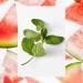 Raw Sugar Watermelon Liquid Hand Soap 16.9 oz - Hydrating and Refreshing - Buy Online on GoSupps.com