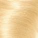 Clairol Nice'n Easy Born Blonde Hai ColorMaxi - Buy Online on GoSupps.com