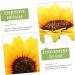 ABOOFAN 20 Pcs Simulated Sunflower Mini Sombrero DIY Crafts Fake Yellow Flowers Jackets Applique Hat Filler As Shownx2pcs 10X10X2CMx2pcs - Buy Online on GoSupps.com