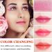 2Pcs Clear Crystal Flower Jelly Lipstick PH Magic Temperature Color Changing Lipstick Lip Gloss Long Wear Nutritious Tinted Lip Balm Moisturizing Lip Stick Makeup Set (Set B) - Buy Online on GoSupps.com