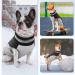 OUOBOB Dog Winter Jacket - Waterproof Reflective Coat for Small Medium Large Dogs - Warm Fleece Apparel with Zipper Closure - Cold Weather Pet Garment - Buy Online on GoSupps.com