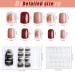 Kalolary 144PCs False Nails Set - Full Finger Acrylic Artificial Nails with Glue Stickers for Women & Girls | Nail Art DIY Decoration - Buy Online on GoSupps.com