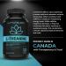 L-Theanine Capsules - For Stress Management & Relaxation - Promotes Focus Alertness & Clarity - L Theanine Supplement for Stress Relief - 250 mg per capsule - 120 Capsules 120 count (Pack of 1) - Buy Online on GoSupps.com