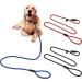 Jinlaili 3Pack Nylon Dog Slip Lead Adjustable Loop Training Dog Leash Dog Training Lead Pet Leash Rope Collar Slip Lead for Small and Medium Dog (Blue red Black) - Buy Online on GoSupps.com