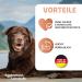 Eggersmann Carnebello - Wet dog food with chicken (6 x 400 g) - Complete food for adult dogs - Tasty and premium wet food for dogs - Buy Online on GoSupps.com