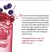 ActiveBlendz Control with Super Citrimax & Gymnema Sylvestre for Weight Management | Appetite Control & Balanced Sugar Levels | Natural Instant Fruit Beverage 24 ct - Javita - Buy Online on GoSupps.com