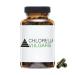 YPSI Chlorella Vulgaris - Micro Algae Capsules with Folic Acid and Iron - Vegan - 200 Capsules