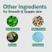 Green Tea BHA Melting Toner Pads with Centella Asiatica - 150 Pads for All Skin Types | Soothing Hydrating & Exfoliating Korean Skincare - Buy Online on GoSupps.com