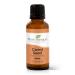 Plant Therapy Carrot Seed Essential Oil 100% Pure Undiluted Natural Aromatherapy Therapeutic Grade 30 mL (1 oz)