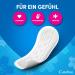 Carefree Cotton Feel Normal Pads - 48 Pieces | Breathable Comfortable & Fresh Fragrance | 100% Dryness & Comfort - Buy Online on GoSupps.com