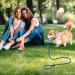 Jinlaili 3Pack Nylon Dog Slip Lead Adjustable Loop Training Dog Leash Dog Training Lead Pet Leash Rope Collar Slip Lead for Small and Medium Dog (Blue red Black) - Buy Online on GoSupps.com